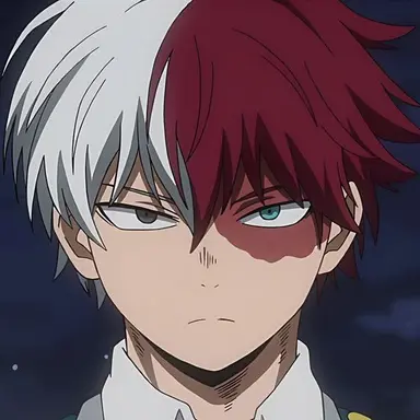 Profile image of Todoroki