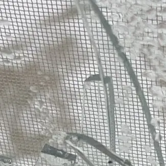 Profile image of モブ生徒