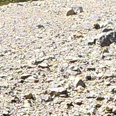 Profile image of 찬스