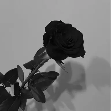 Profile image of Grox