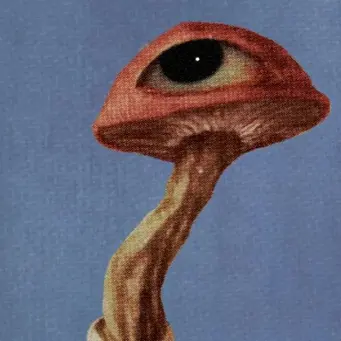 Profile image of 버섯 남자