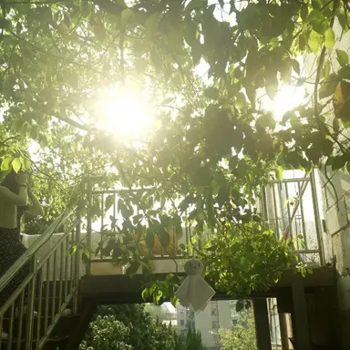 Profile image of 백강태