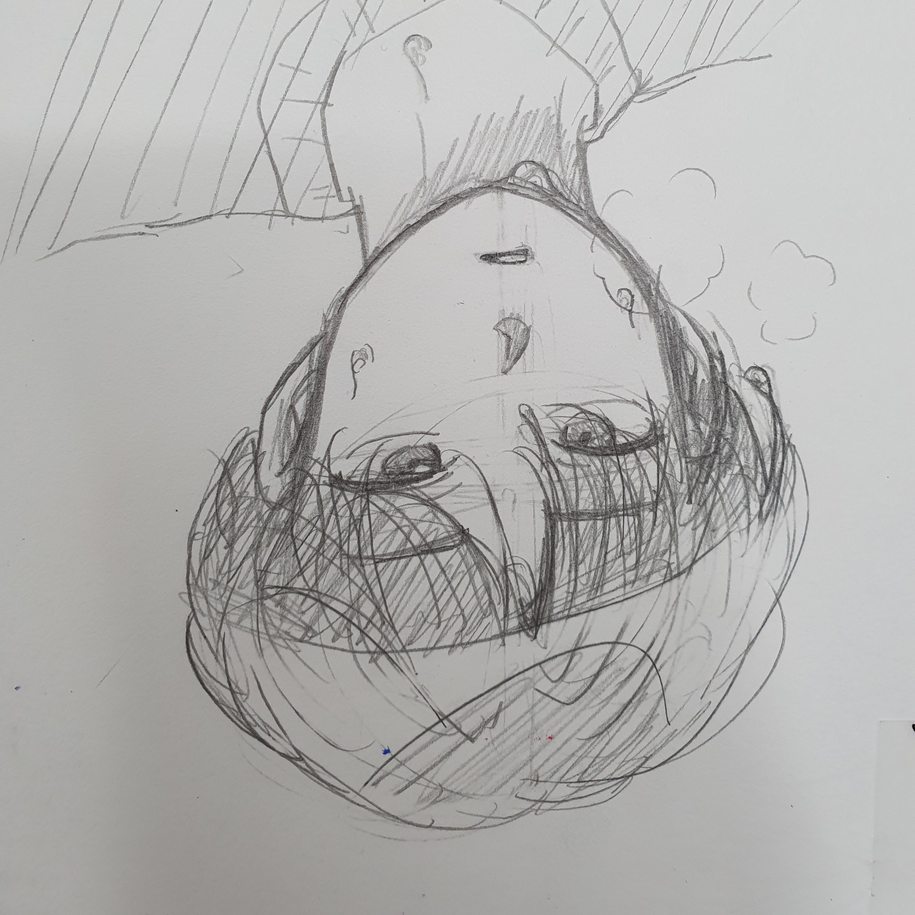 김 리 얀 대표 이미지