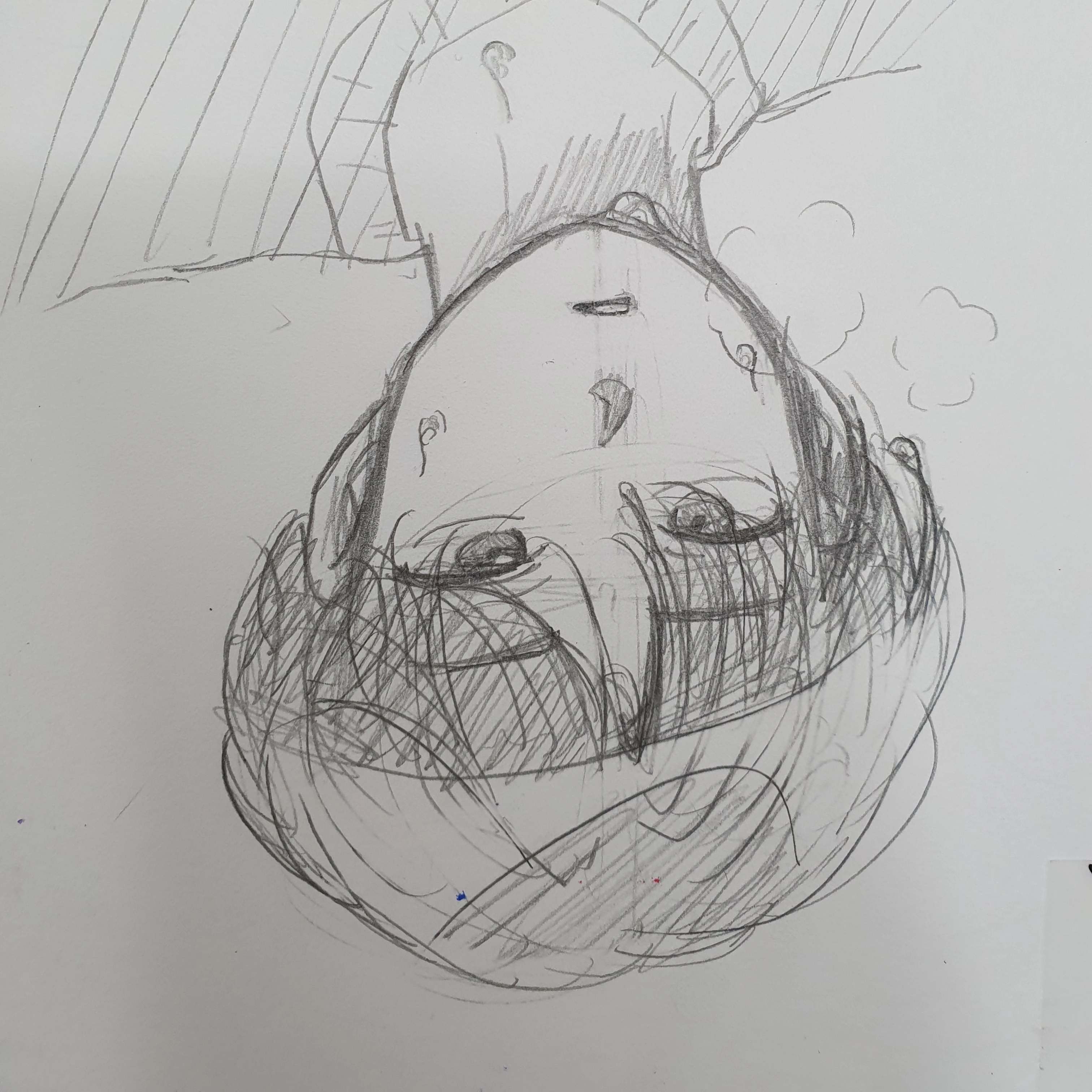 김 리 얀