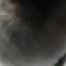 Profile image of 김하원