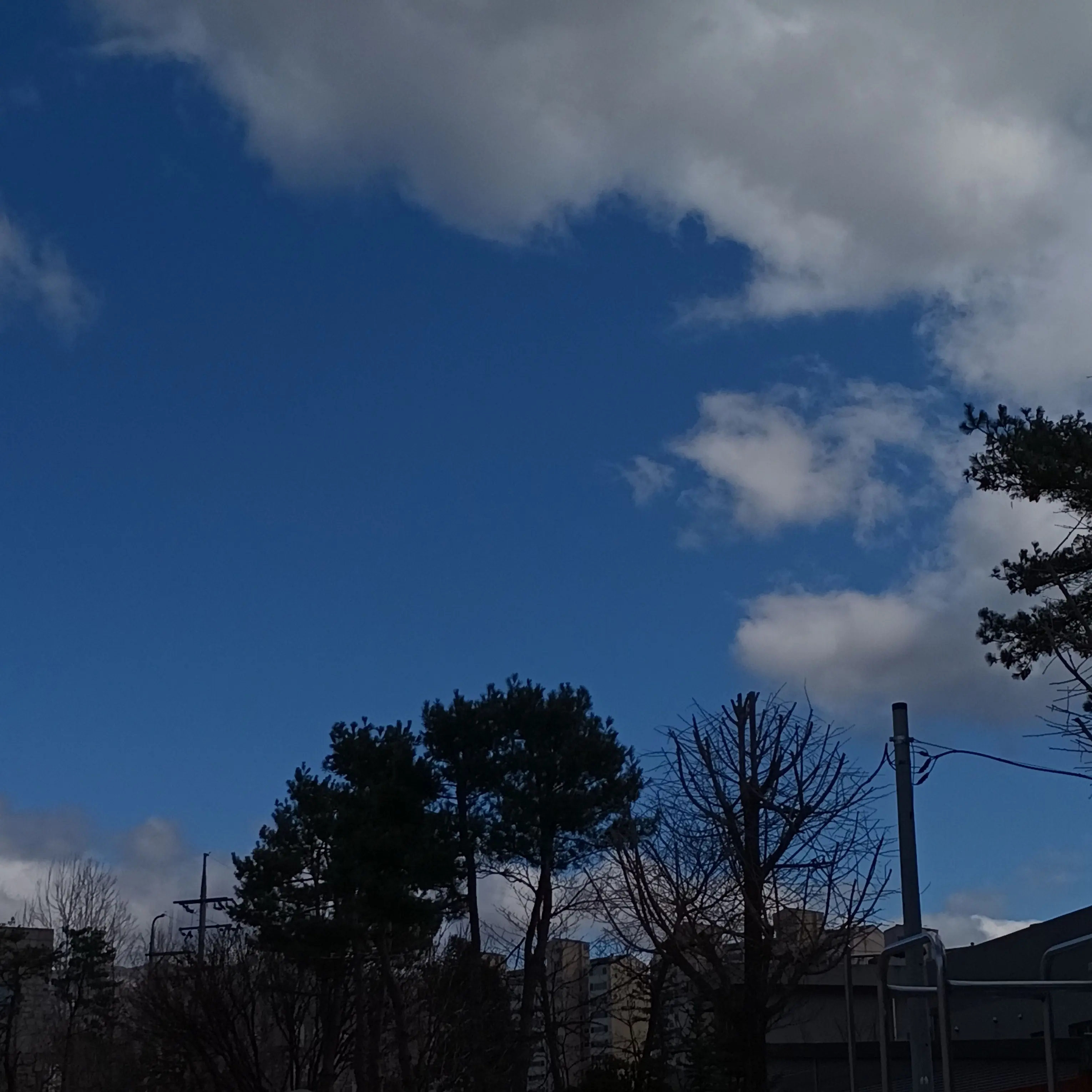 hiru_yeonhi의 내 토끼 돌려내