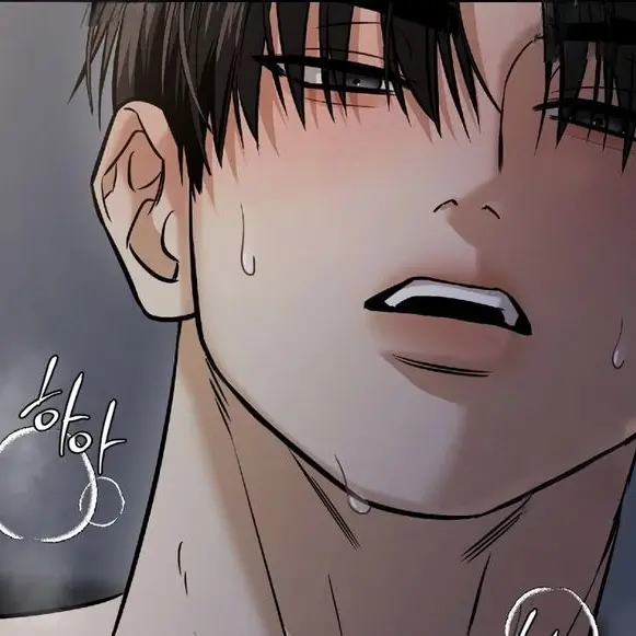 plle5의 문희섭