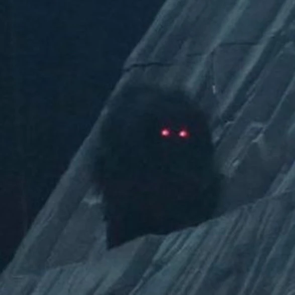 지배자