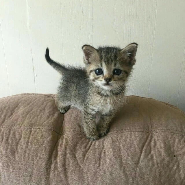 이민호