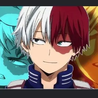 Profile image of Todoroki