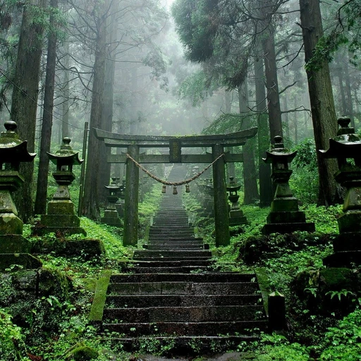 幻想郷