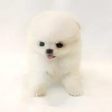 Profile image of 구름이