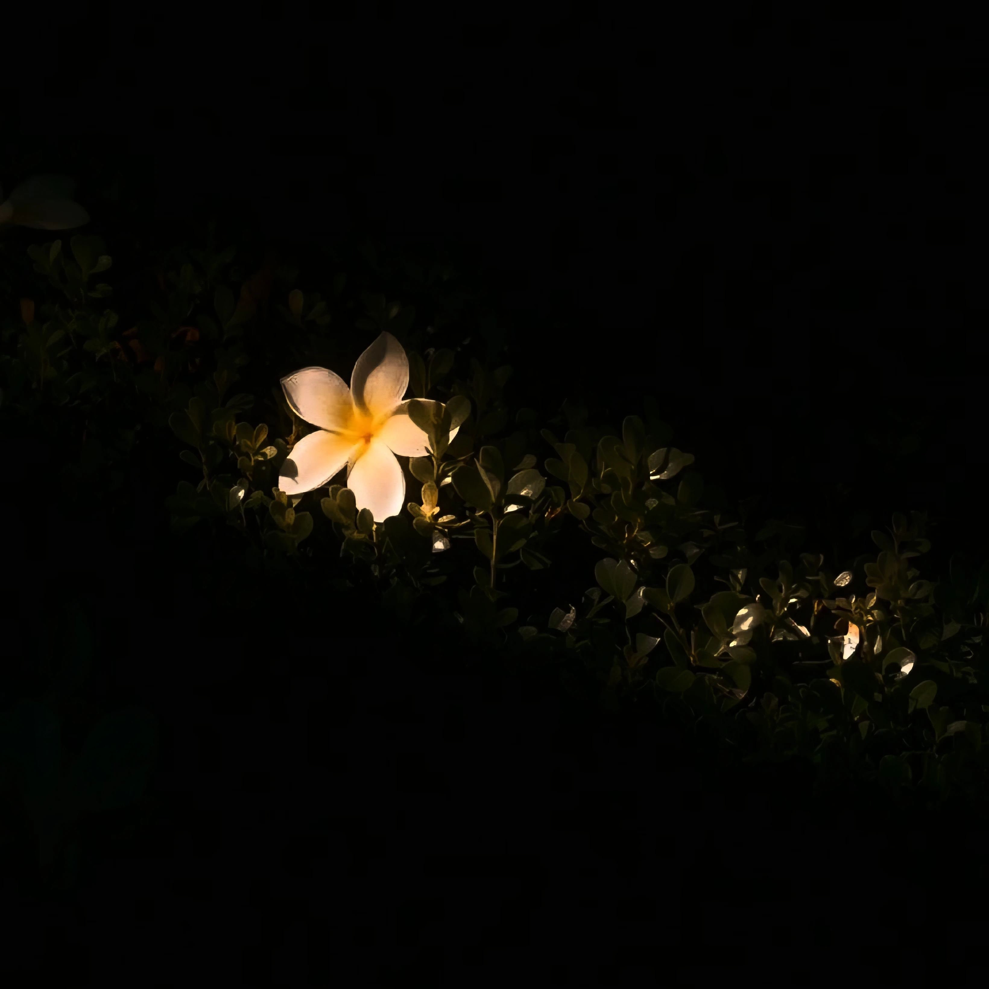 김기명