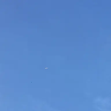 Profile image of 김여우