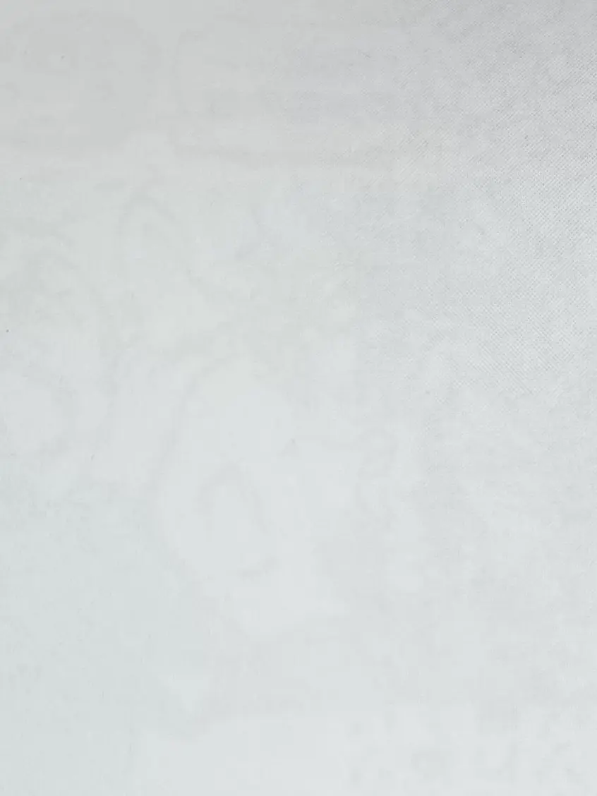 352의 亜細亜のみんなとイタリア旅行〜