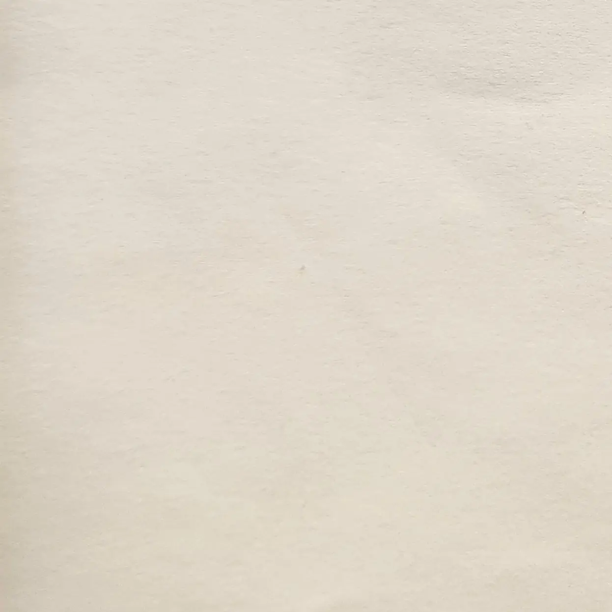 TOT_TOT의 윤동희