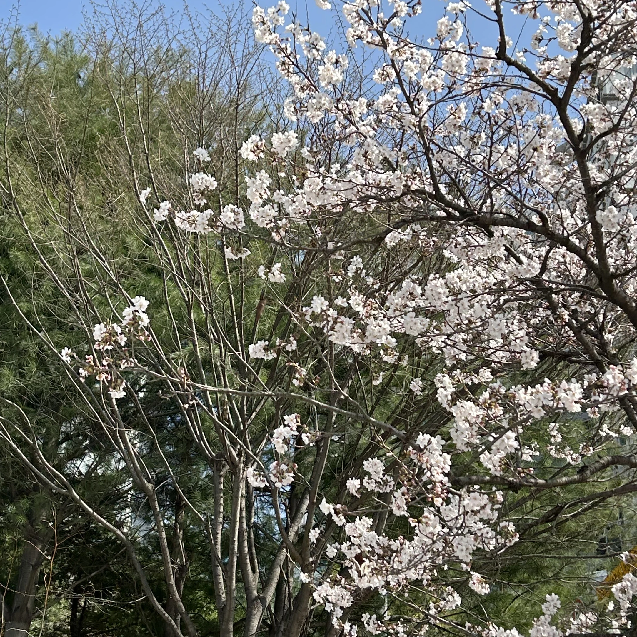 그렇더라고요. (유저버전)