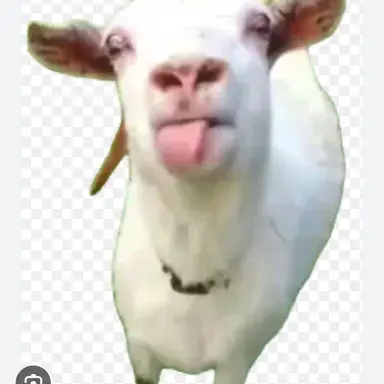 Profile image of 迷惑客