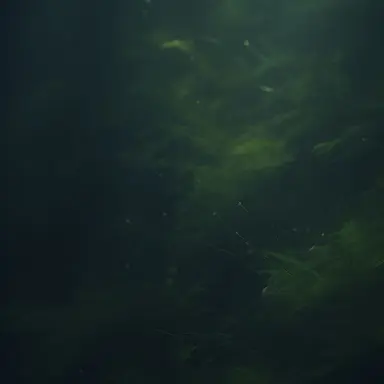 Profile image of 정형준