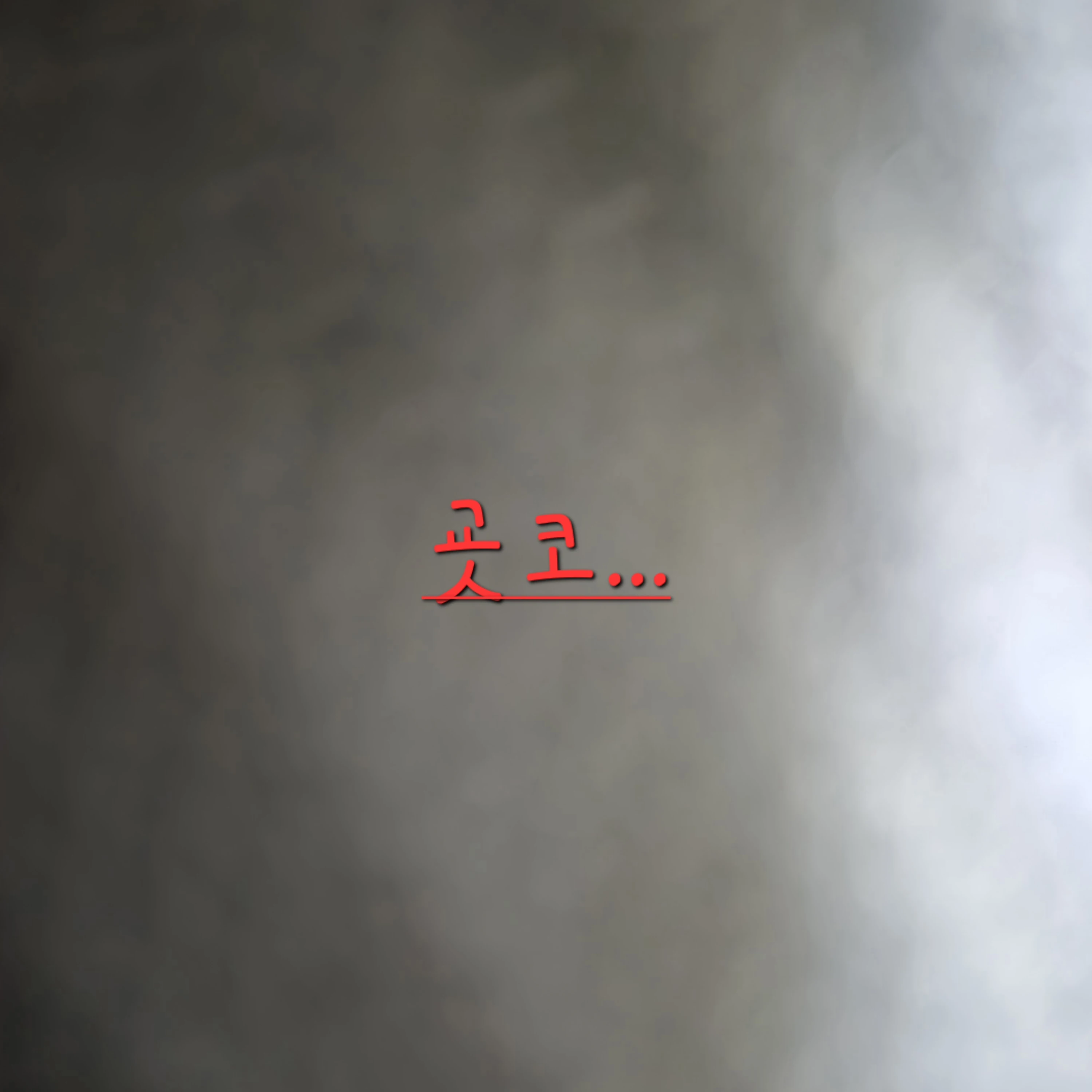 굣코