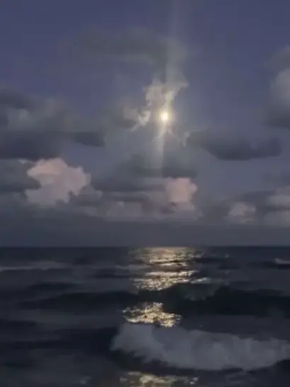 helper06의 異星に行こうね🐝࿆