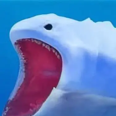 Profile image of 블롭