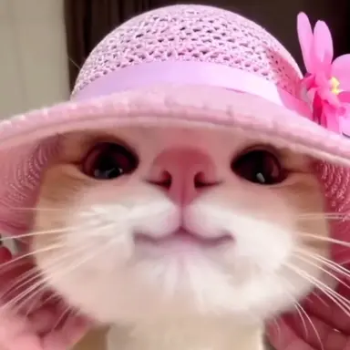 Profile image of 올망이