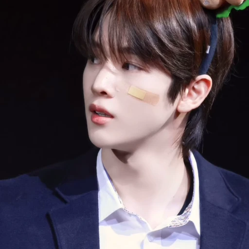 정성찬