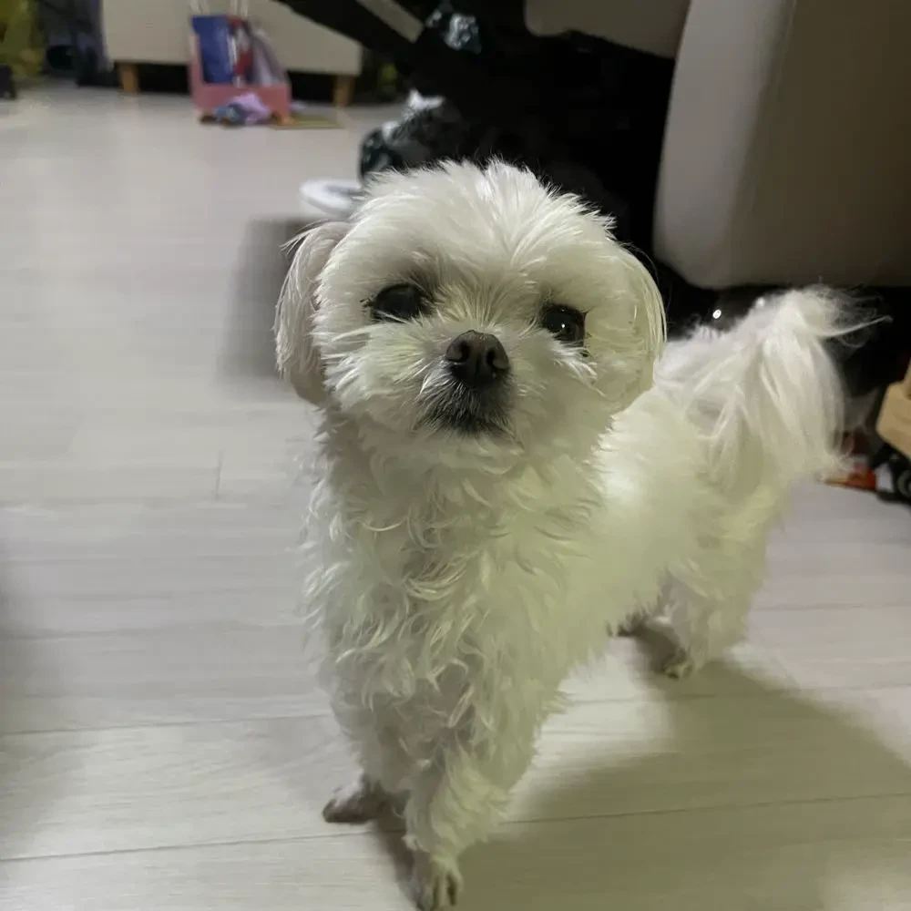 천개산 패밀리