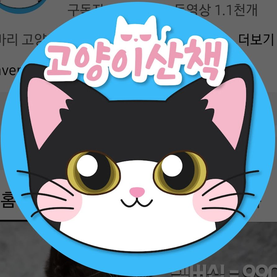 고양이산책 대표 이미지