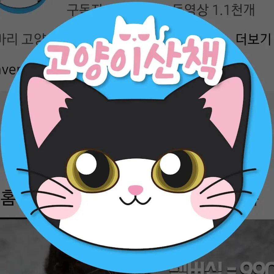 SadSkier5273의 고양이산책