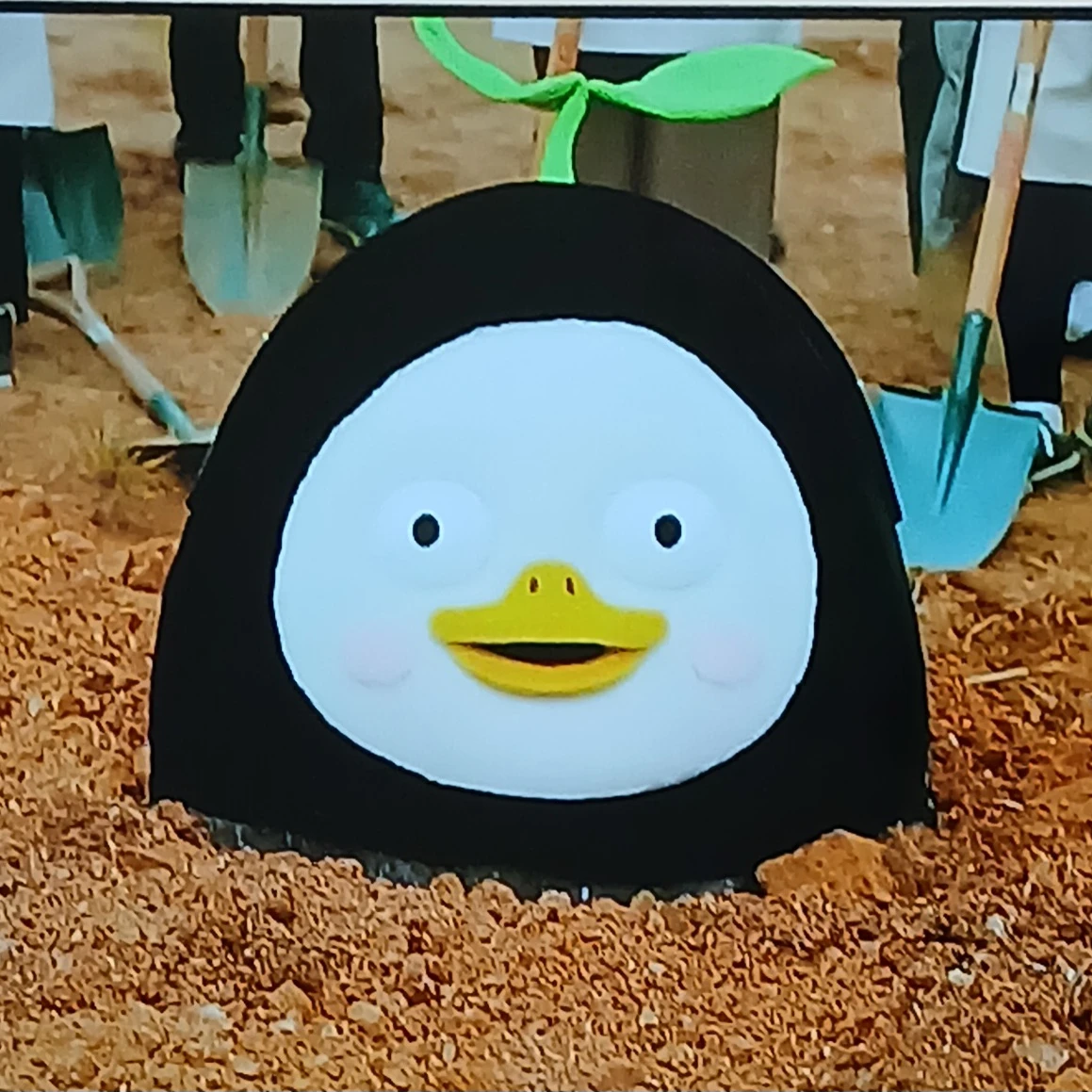 땅속에 묻힌 펭수