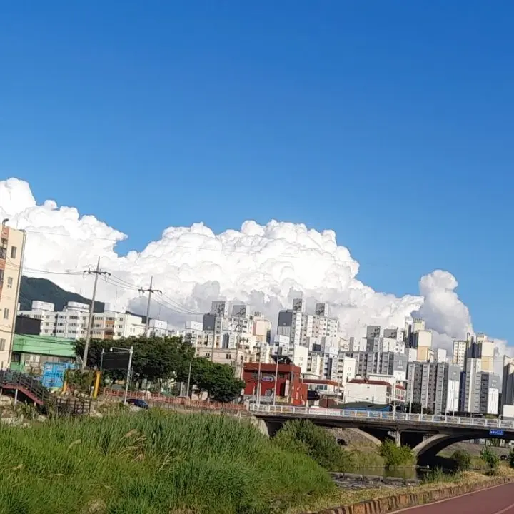 LARI0523의 사실 널 좋아해. 죽을만큼.