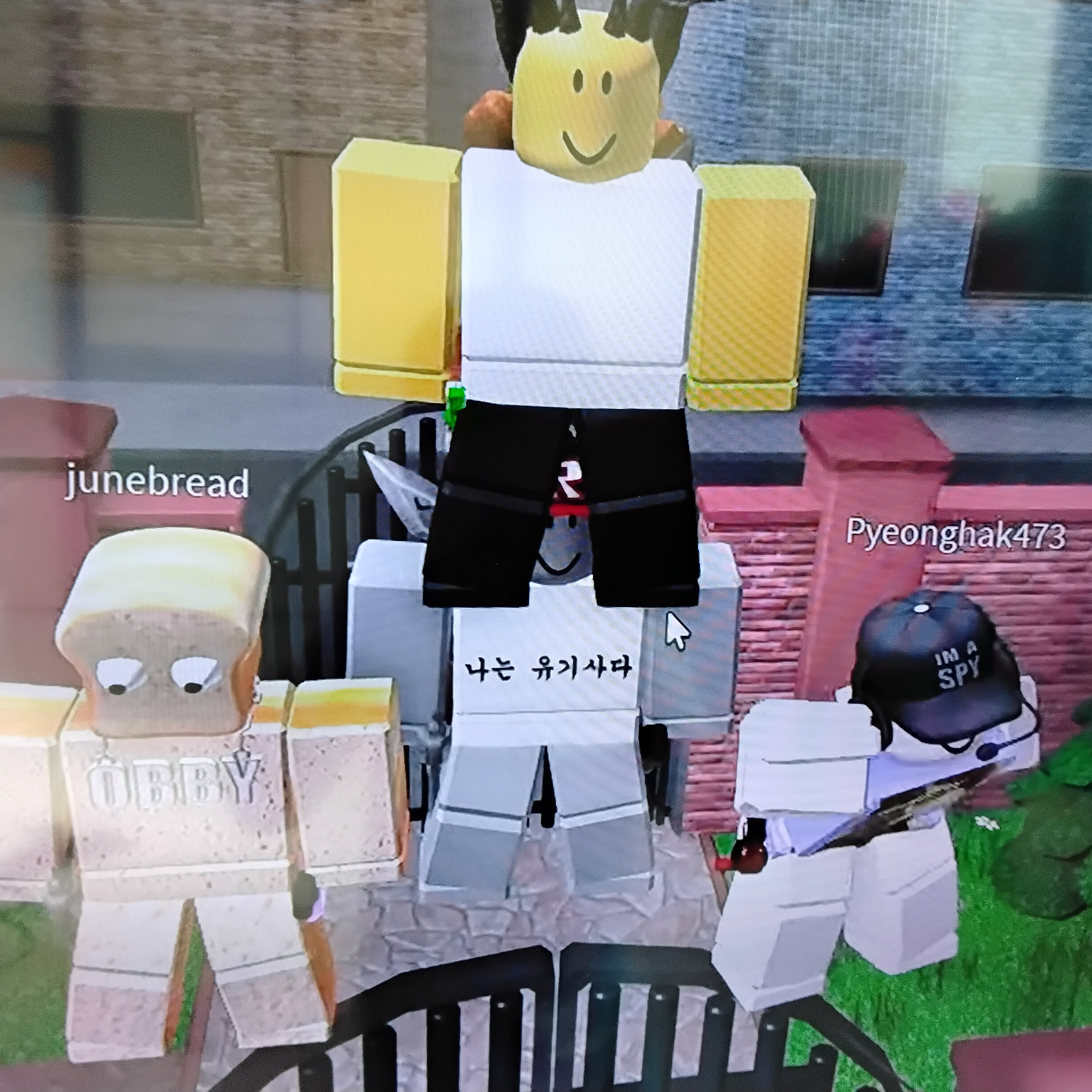 똥꼬 미스테리 대표 이미지