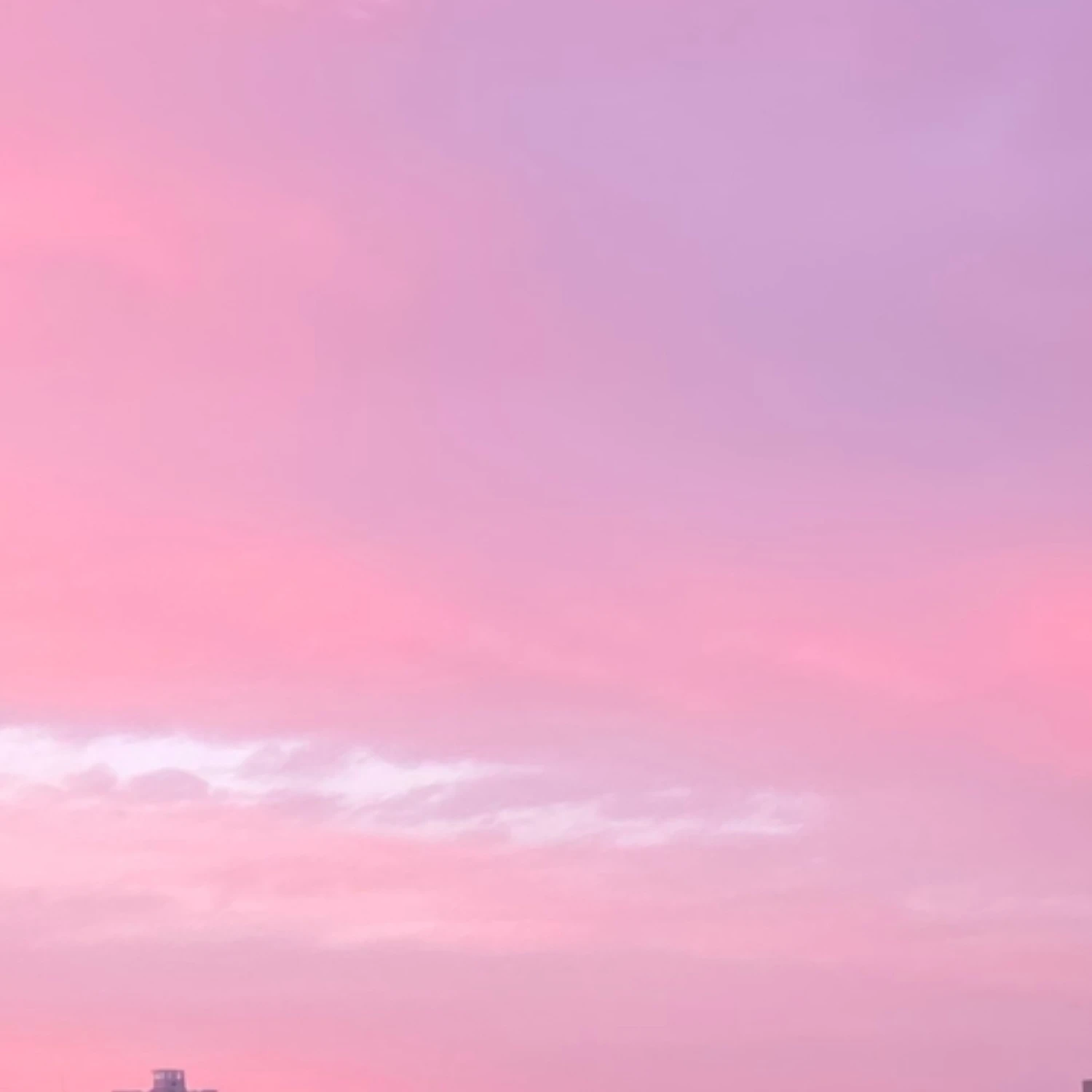 서 원우