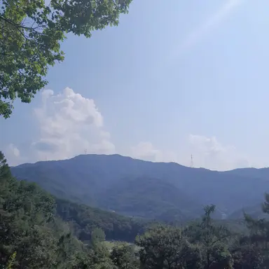 Profile image of 진격의 거인