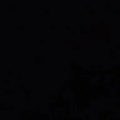 Profile image of 조우안신