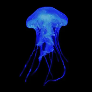 Profile image of 수