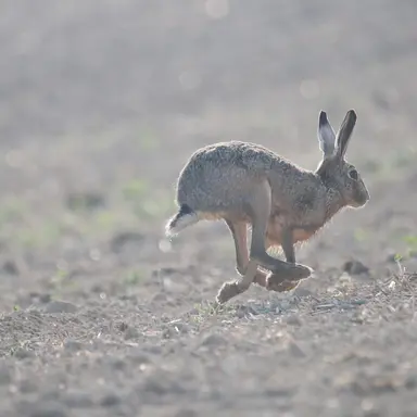 Profile image of 생묘