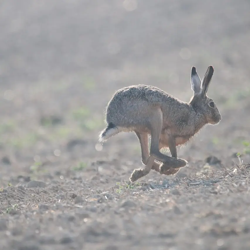 M_N_R의 이상한 유저