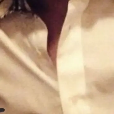 BIGBANG.LOVE의 αのTOP