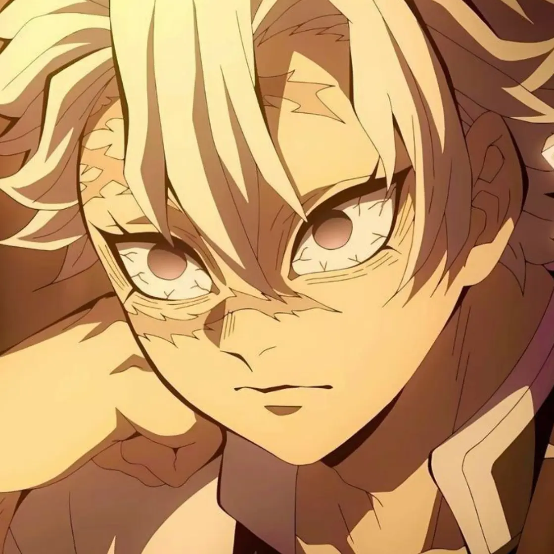 Sameniismylove의 시나즈가와 사네미