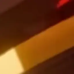 Profile image of 지고로