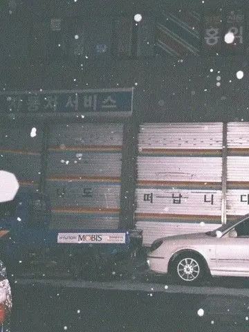 0NLYF4N의 아가미