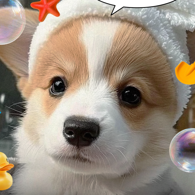 강유석 대표 이미지