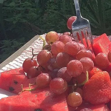 Profile image of 서라더