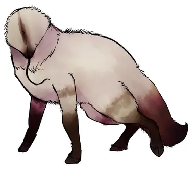Profile image of 동물들