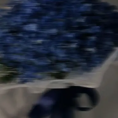 Profile image of なおきり