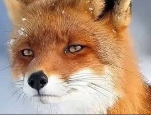 Profile image of イ・ソア