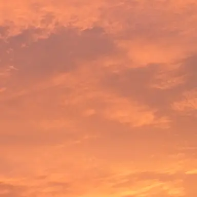 Profile image of 하서연